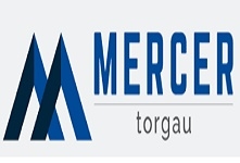 MERCER TORGAU GMBH & CO.KG
